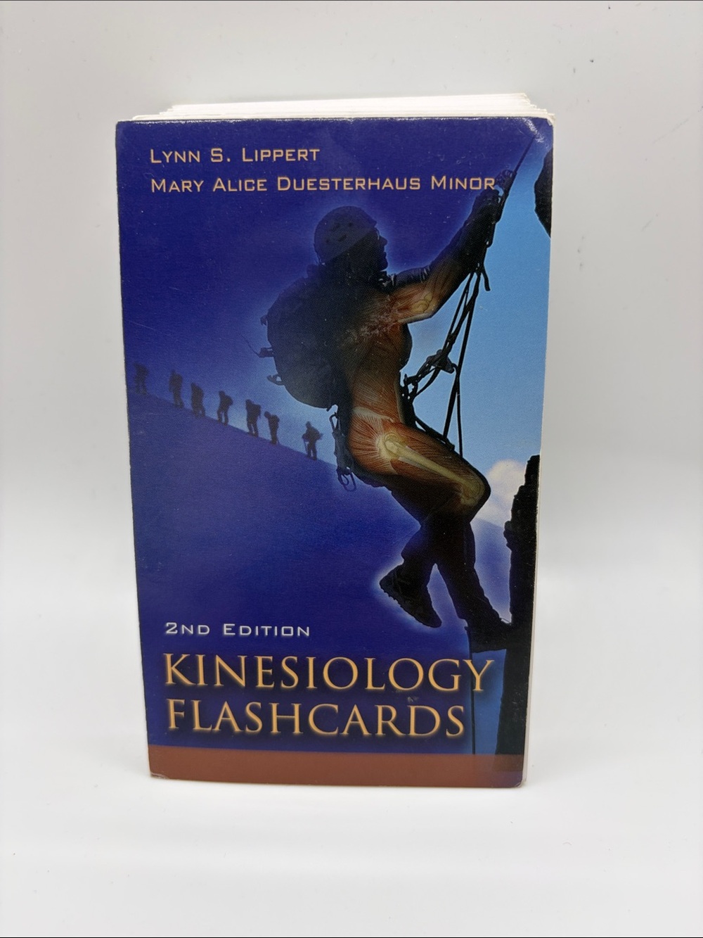 Kinesiology and Anatomy Flashcards